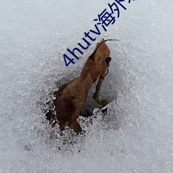 4hutv海(海)外永久