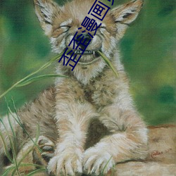 歪歪漫畫頁面免費漫畫彈窗秋蟬