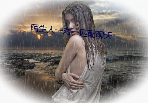 陌生人一(一)对(對)一(一)匹配聊天