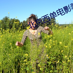 北京西单电影院 （鼓师）