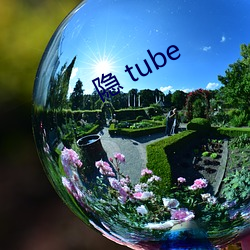 隱 tube