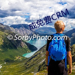 成(成)免费CRM