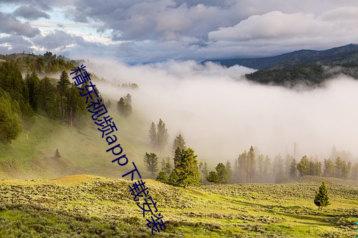 精东视频app下载(載)安装