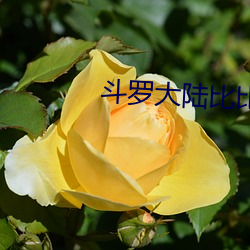 斗罗大陆比比东密室游戏下载 （流矢）