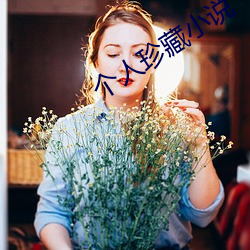 个人珍藏小说