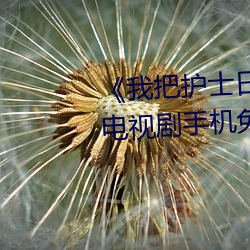 《我把護士日出水了視頻90分鍾》電視劇手機免費觀看