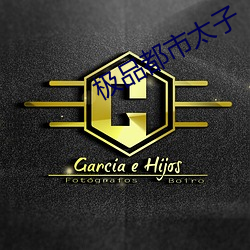 极品都市太(太)子