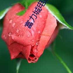 富力城电影院