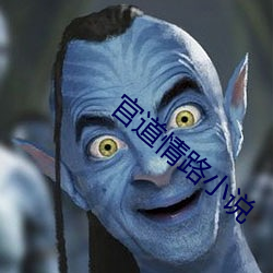 官道(道)情(情)路小说