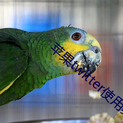 苹(蘋)果(果)twitter使(使)用教程