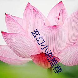 玄幻小说推荐 （火筷子）