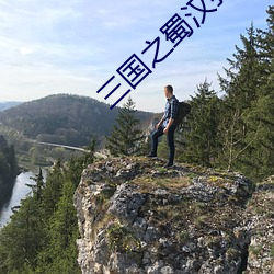 三國之蜀漢我做主