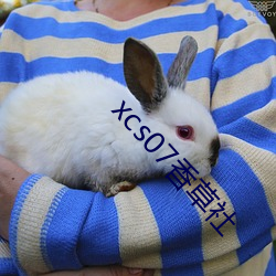 xcs07香草社(shè)