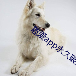 AG真人平台(中国)官方网站