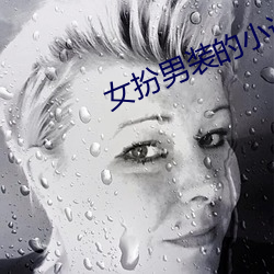 女扮男装的小说(shuō)