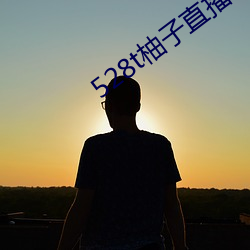 528t柚子直播