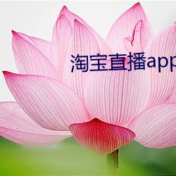 淘寶直播app下載