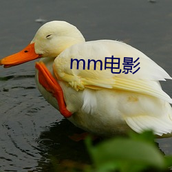 mm影戏