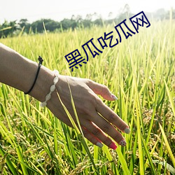 黑瓜吃瓜网