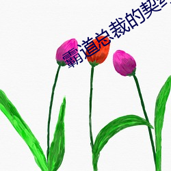 霸道总裁的契约女友