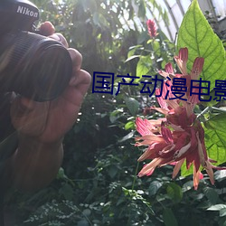 金年会(中国)官方网站