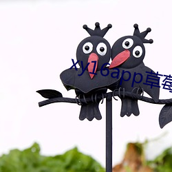 xy16app草(草)莓(莓)视频