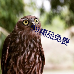 99精(jīng)品免费