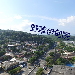野草伊甸院