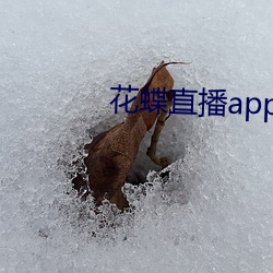 花蝶直(zhí)播app浪花