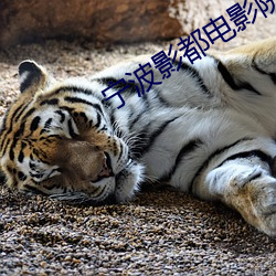 宁波影都电影院 树高招风）