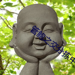 管鲍之交分拣中心 （豆猪）