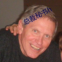 总(zǒng)裁秘书(shū)h