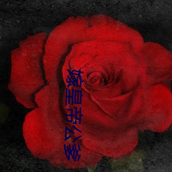 嫁天子(dì)公爹(diē)