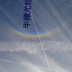 半裸(luǒ)尤物