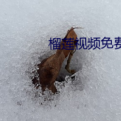 米乐M6·(中国)官方网站