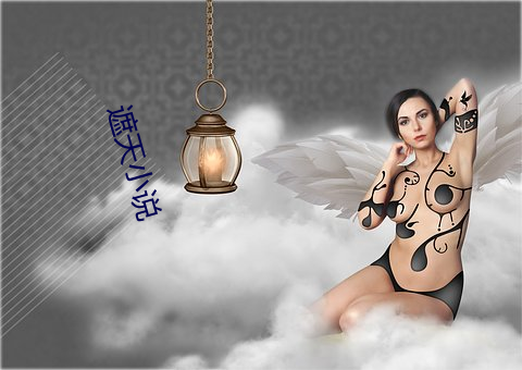 遮天小(xiǎo)说