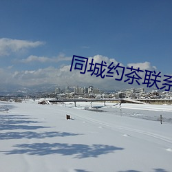 同城约茶联系方式