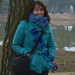 锦绣未央小说 （清誉）