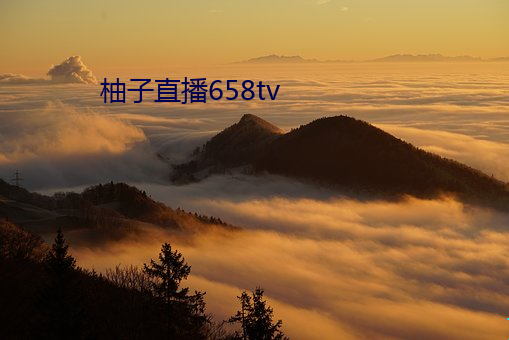 柚子直播658tv