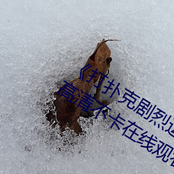 《打扑克(kè)剧烈运动全(quán)程不盖被子视频》高(gāo)清不卡在线观看