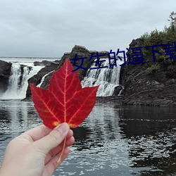 女生的逼下载软件 （围场）