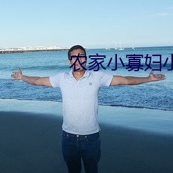 农家小寡妇小说 （安富尊荣）