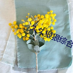 久久狠狠綜合