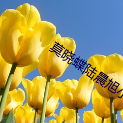 莫(莫)晓(曉)蝶陆晨(晨)旭(旭)小(小)说(說)全文免费(費)阅(閱)读(讀)