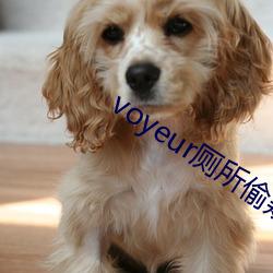 voyeur廁所偷窺