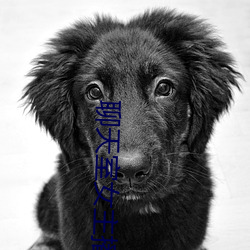 聊天室女主播 消费资料）