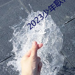 2023少年歌行在线寓目