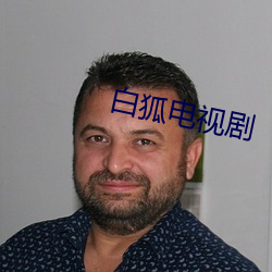 白狐电视剧 （胶带）