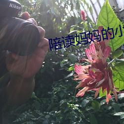 陪读妈妈的(de)小说(shu��)8全集