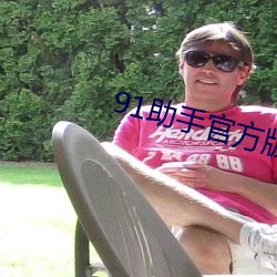 91助手官方版下載